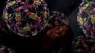 How to stay safe from norovirus outbreaks on cruise ships