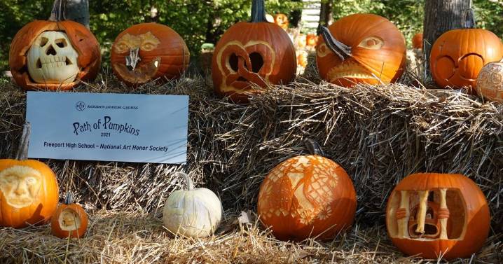 Path of Pumpkins back at Anderson Japanese Gardens, highlighting young artists