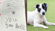 South Carolina Kids' Touching Note Left With Their Surrendered Dog Sparks Emotional Reactions