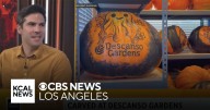 Carved at Descanso Gardens, Made in LA at the Hammer Museum and more