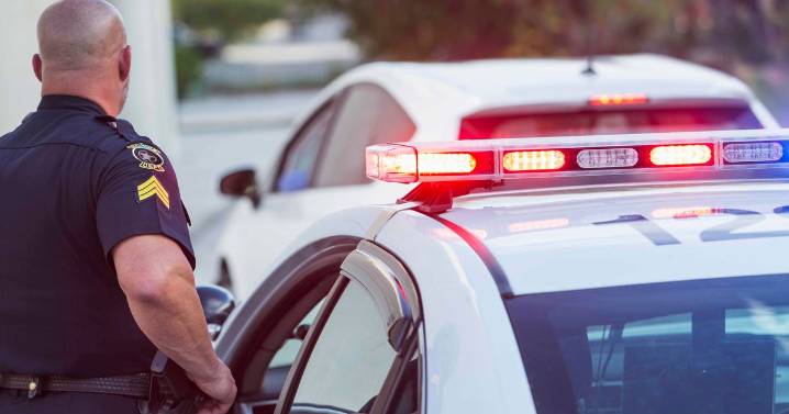 Florida appeals court rules cannabis odor alone not enough for vehicle searches