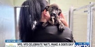 Something Good: VPD, VFD celebrate National Make a Dog’s Day at Lowndes County Animal Shelter