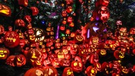See Louisville's Jack O'Lantern Spectacular 2025 and through the years