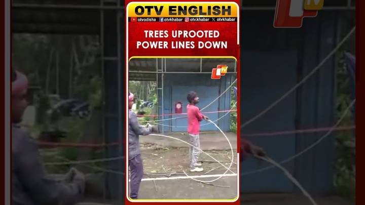 Cyclone Montha Wreaks Havoc: Trees Uprooted, Power Lines Damaged In Andhra