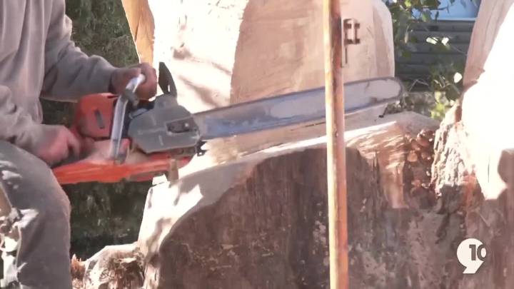 Traverse City artist breathes new life into dead tree with wood carving