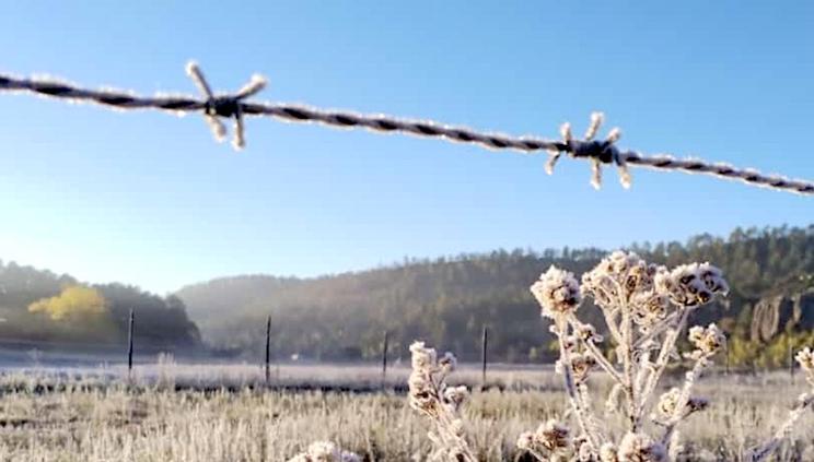 Viene el frío: 9°C en Chihuahua y 1 en la Sierra este fin de semana