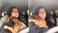 Tennessee Woman’s Gentle Care Helps Dog Conquer Heartbreaking Fear Of Car Rides