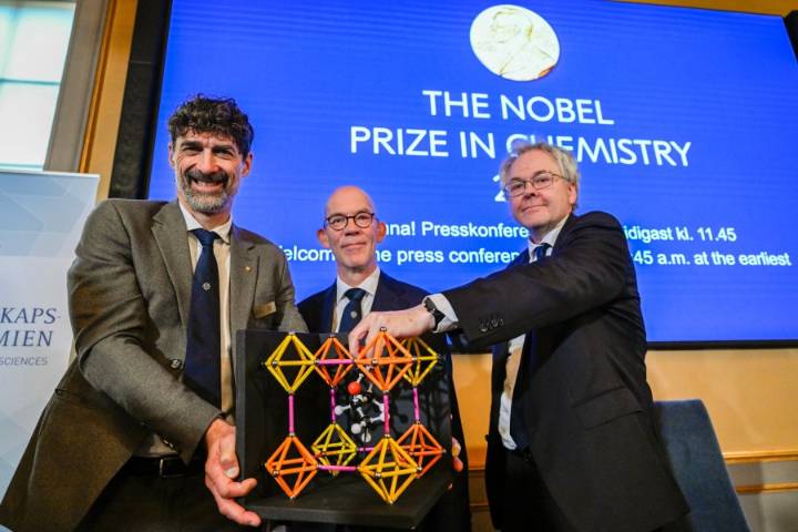 Molecular discovery that won Nobel Prize in chemistry is likened to 'Harry Potter' enchanted handbag