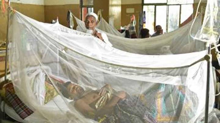 B'desh reports 9 more fatalities due to dengue; death toll in 2025 rises to 212