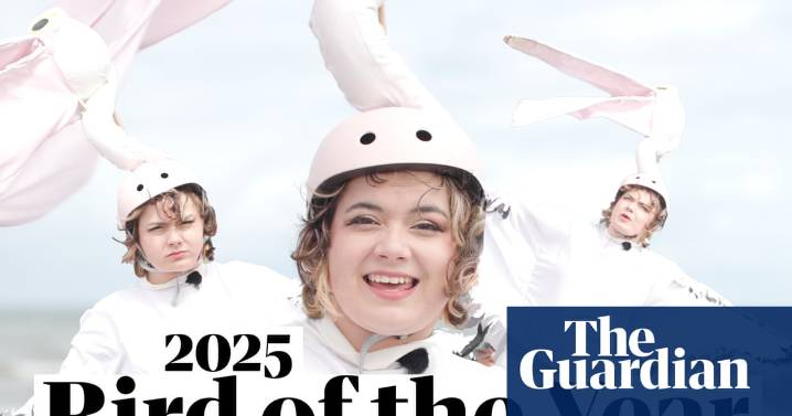 2025 Australian bird of the year voting is open! Here's how to vote
