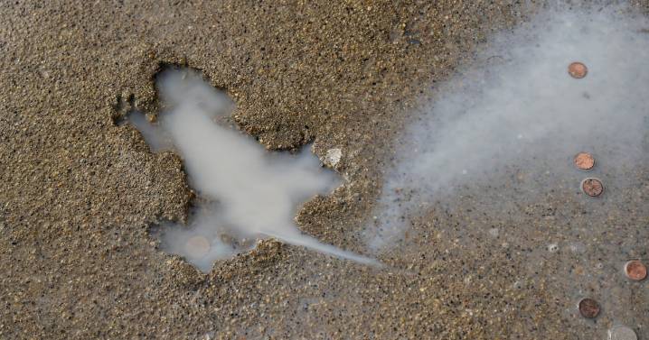 Remember the Chicago Rat Hole? Researchers say it wasn’t actually made by a rat