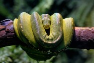 Vulnerable Rust crate exposes uv Python packager • The Register