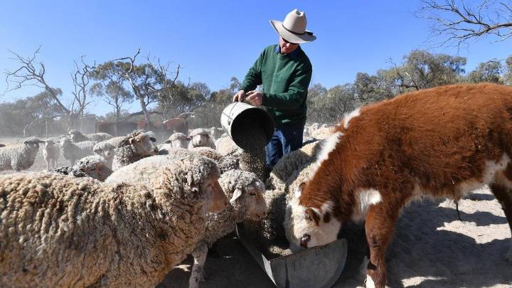 Environment 
                                          Premium
                                        NZ's bold pledge to reduce methane emissions by 2050