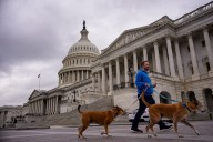 Gallup: 62% of Americans Say Federal Government Has Too Much Power