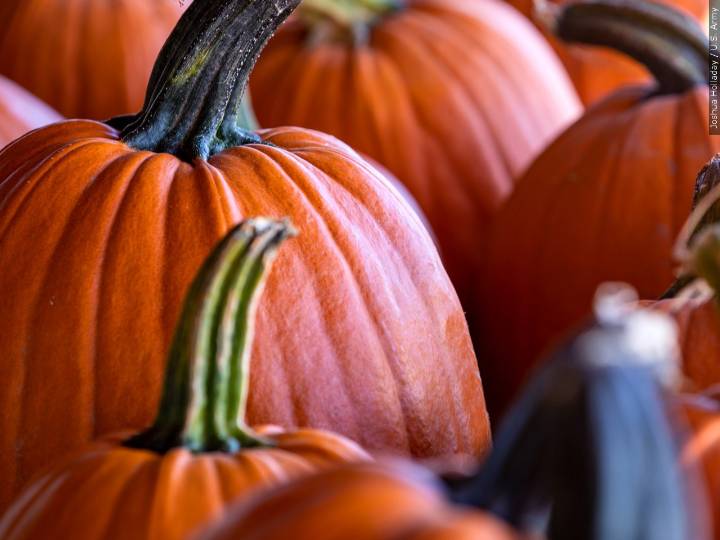 Trunk or Treat event at First Presbyterian Church of Elkhart Oct. 26