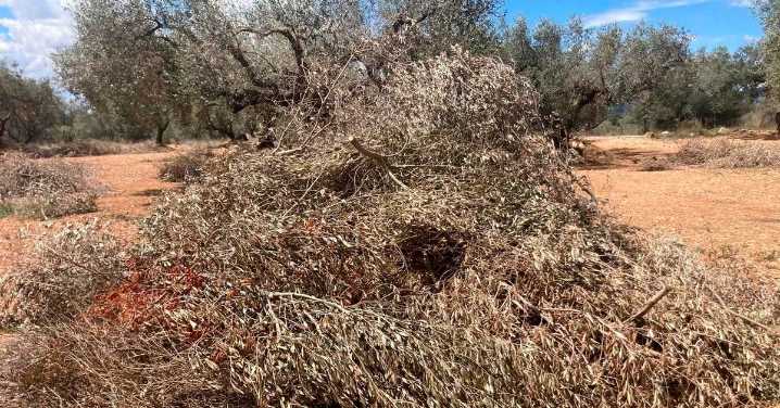 Arranca la campaña de quemas agrícolas en Huércal
