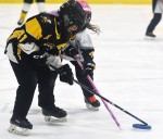 Multi-goal games lead Stingers' squads to weekend wins