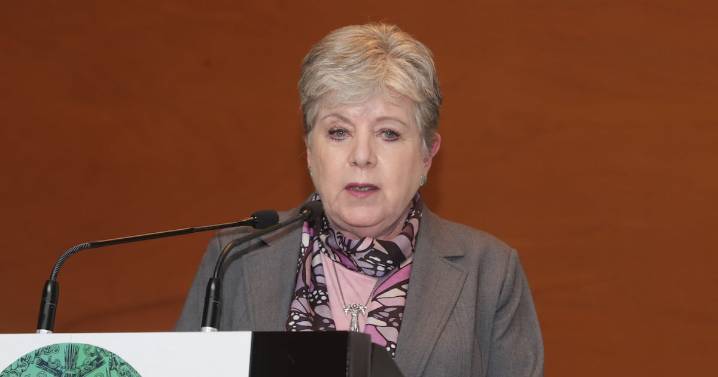 Alicia Bárcena pide más recursos para Ley de Bienestar, Cuidado y Protección de los Animales