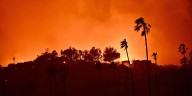 29-Year-Old Man Jonathan Rinderknecht Arrested After Allegedly Starting Destructive Palisades Fire – Details