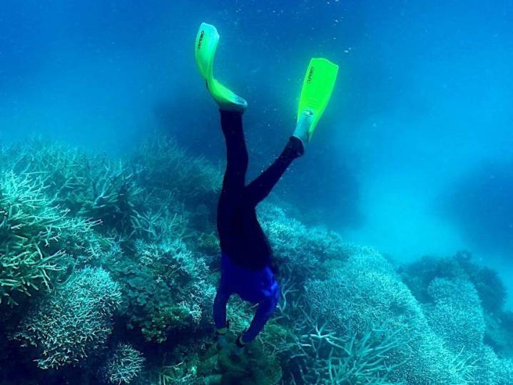 World's coral reefs crossing survival limit: Global experts