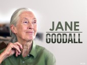 Jane Goodall, conservationist renowned for chimpanzee research and environmental advocacy, has died
