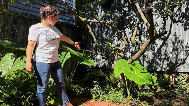 A long-lost ancient Roman artifact reappears in a New Orleans backyard