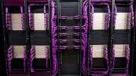 $500 purple cables put Credo in middle of the AI boom