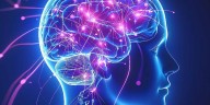 Descubren cómo el estrés altera moléculas en el cerebro: el posible vínculo con la depresión