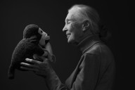 Jane Goodall’s Final Message: ‘Don’t Give Up’