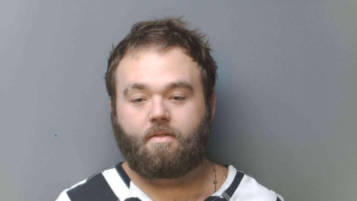 Franklin man charged with fleeing police in stolen Mustang