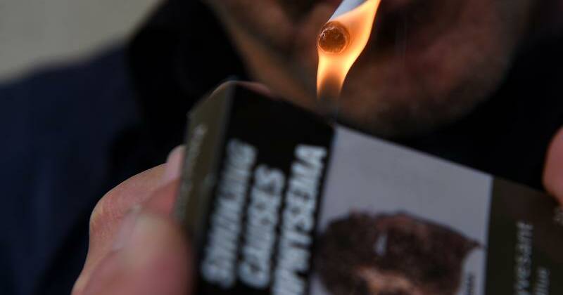One in five adults globally addicted to tobacco: WHO