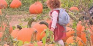 Seasonal change brings more business to cider mills
