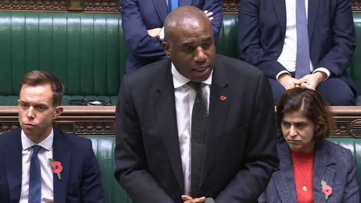 ‘Human error’ led to migrant sex offender’s release, says Lammy