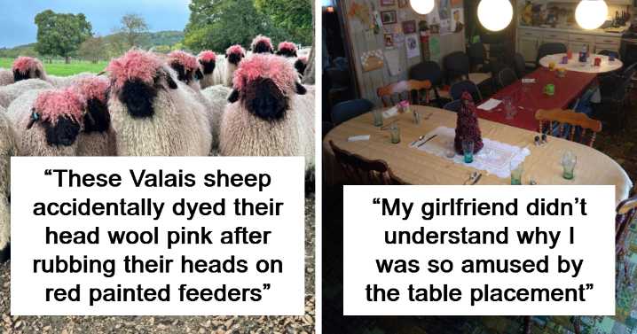 34 “Accidental Comedy” Pics That May Make You Laugh Harder Than You Should (New Pics)