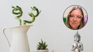 Montserrat Beltrán, experta en Feng Shui: “Tu casa refleja quién sos”