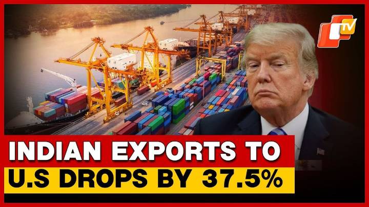 Indian Exports To U.S Tank Amid Trump Tariff: Reports