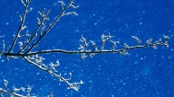 See 2025-2026 winter weather predictions for the Louisville area