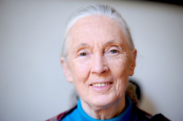 Jane Goodall Changed How We See Ourselves