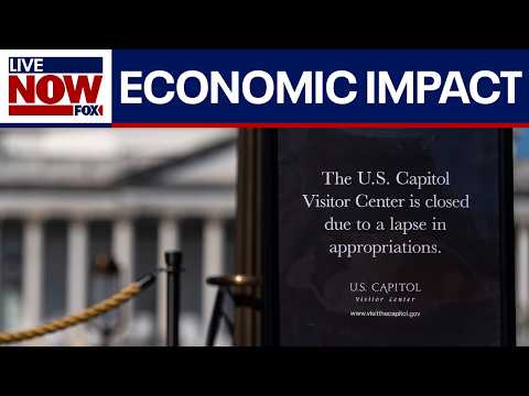 How does a government shutdown affect the economy?