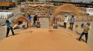 Centre hikes wheat MSP by Rs 160 to Rs 2,585 per quintal; rabi procurement target 297 LMT
