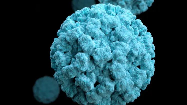 Brote de norovirus en crucero de Royal Caribbean deja 98 contagiados