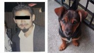 Buscan sentencia condenatoria contra sujeto por arrojar de un tercer piso a perrita de 8 meses en Huejotzingo