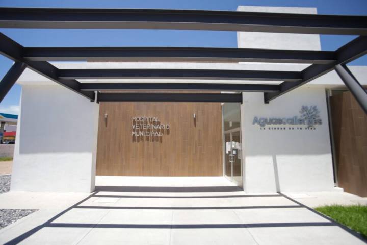 Arranca hospital veterinario de Aguascalientes con servicios gratuitos