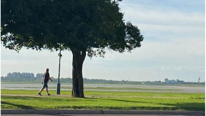 Sábado soleado en Santa Fe: desde la próxima semana anticipan el regreso del calor intenso en la región