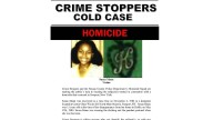 Nassau County cold case: Police identify girl's body found in 1982 as Susan Mann, 15, of Hollis, Queens