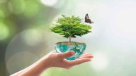 Día Mundial del Hábitat 2025: ciudades que responden con inclusión y sostenibilidad