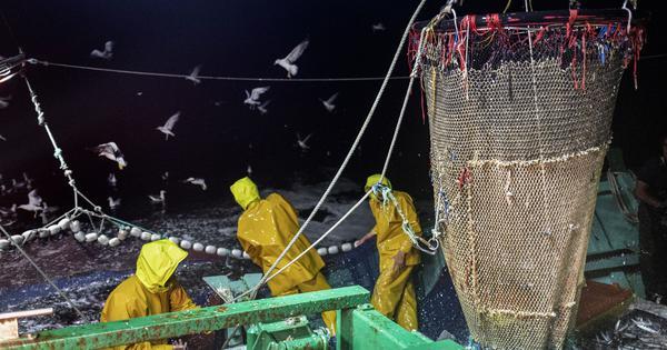 Between the devil and the deep sea: Inside the battle over trawling for a 200