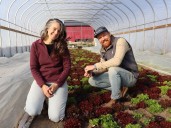 Organic farm putting down roots in Lambton County wins Chamber prize