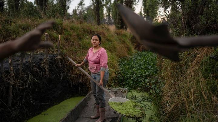 Women in Mexico step up to protect ancient Aztec farms and save a vanishing ecosystem