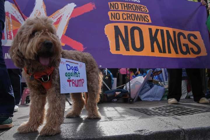 Republicanos consideran protestas de “No a los reyes” contra Trump como de “odio a EU”